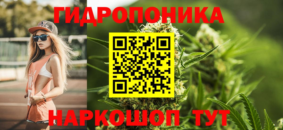 Каннабис SATIVA & INDICA Отрадный
